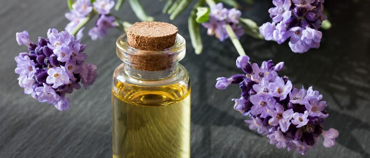 Tugann ola lavender casta álainn