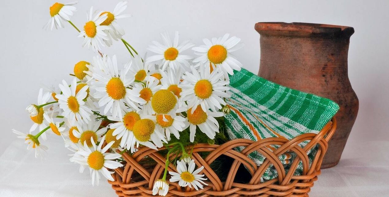 conas a dhéanamh toner aghaidh ó bláthanna chamomile